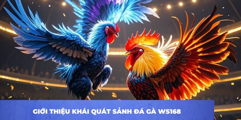 Giới thiệu khái quát sảnh đá gà WS168